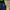 VINTAGE JACKETS BRASIL FOOT BALL CLUB CBDU BY I CONE ESPORT  photo 2