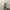 Vintage Y2K Going out dress Wanita white yellow photo 2