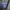 Dickies Unlined Work Jacket - Navy photo 5