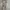 Outer Model Kimono Motif photo 1