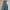 Rok Overall Jeans photo 1