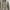Pull & bear Jacket pria warns khaki photo 2