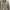 Pull & Bear Jacket Pria Warns Khaki