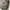 Pull & bear Jacket pria warns khaki photo 4