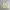 Vintage Polo Ralph Lauren Soft Yellow Harrington Work Jacket photo 8
