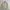 Vintage Polo Ralph Lauren Tan / Beige Harrington Work Jacket photo 1