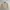 Vintage Polo Ralph Lauren Tan / Beige Harrington Work Jacket