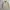 Vintage Polo Ralph Lauren Tan / Beige Harrington Work Jacket photo 3
