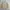 Vintage Polo Ralph Lauren Tan / Beige Harrington Work Jacket photo 8
