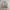 Vintage Polo Ralph Lauren Tan / Beige Harrington Work Jacket photo 5