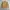 Vintage Polo Ralph Lauren Tan Brown Harrington Work Jacket photo 10
