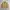 Vintage Polo Ralph Lauren Tan Brown Harrington Work Jacket photo 1