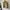 Vintage Polo Ralph Lauren Tan Brown Harrington Work Jacket photo 5