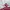 Champion Vintage Y2K Sweater Pria red gray photo 3