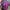 Ransel Outdoor Kolping 25L photo 2