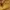 Skinny Jeans Mustard  photo 2