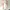Luxury Minimalist Going Out Dress Wanita White