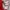 Tracktop Adidas Red Gray Colorway photo 7