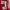 Tracktop Adidas Red Gray Colorway photo 8
