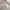 outer cream photo 1