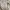 outer cream photo 5