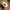 American Rope Hat ProTree White photo 6