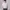 Gagne Boxy Tshirt Scuba White photo 1