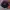 Tracktop Adidas 3 Stripes Climalite  photo 1