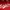 Adidas Sportswear Casual Jersey Pria White Red