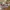 Converse 70s Hi Chuck Taylor Union Jack photo 1
