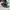 NIKE AIR JORDAN LOW CHUNKY DUNKY photo 3