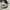 NIKE AIR JORDAN LOW CHUNKY DUNKY photo 2