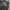 Streetwear Cosplay Pleated skirt Wanita black photo 4