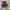 Specs Accelerator Football Main Color photo 3