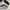 ADIDAS CAMPUS BLACK WHITE photo 2
