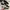 ADIDAS CAMPUS BLACK WHITE photo 4