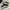 ADIDAS CAMPUS BLACK WHITE photo 1