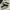 ADIDAS CAMPUS BLACK WHITE