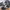 Nike Air Max Run Black white Mens photo 4