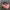 Gorpcore Sneakers Wanita pink photo 2