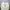 Guess Luxury Sweater Pria white photo 2