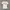 JERSY CHELSEA photo 1