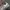Gorpcore Sneakers Pria gray photo 4