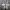 Gorpcore Sneakers Pria gray photo 5