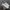 Gorpcore Sneakers Pria gray photo 1