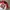 JERSY NFL SAN FRANCISCO 49ERS photo 2