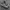 Adidas Gorpcore Casual Sneakers Pria black gray photo 2