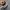 Adidas Gorpcore Casual Sneakers Pria black gray photo 5