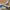 Sepatu Air Jordan Travis Scott Low Fregment Main Color photo 1