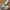 Sepatu Lacoste L003 Textile Trainers Originals White photo 1